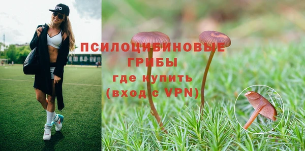 соль курить ск Переславль-Залесский