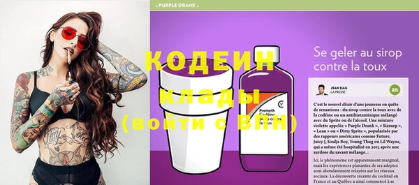 дурь Осташков
