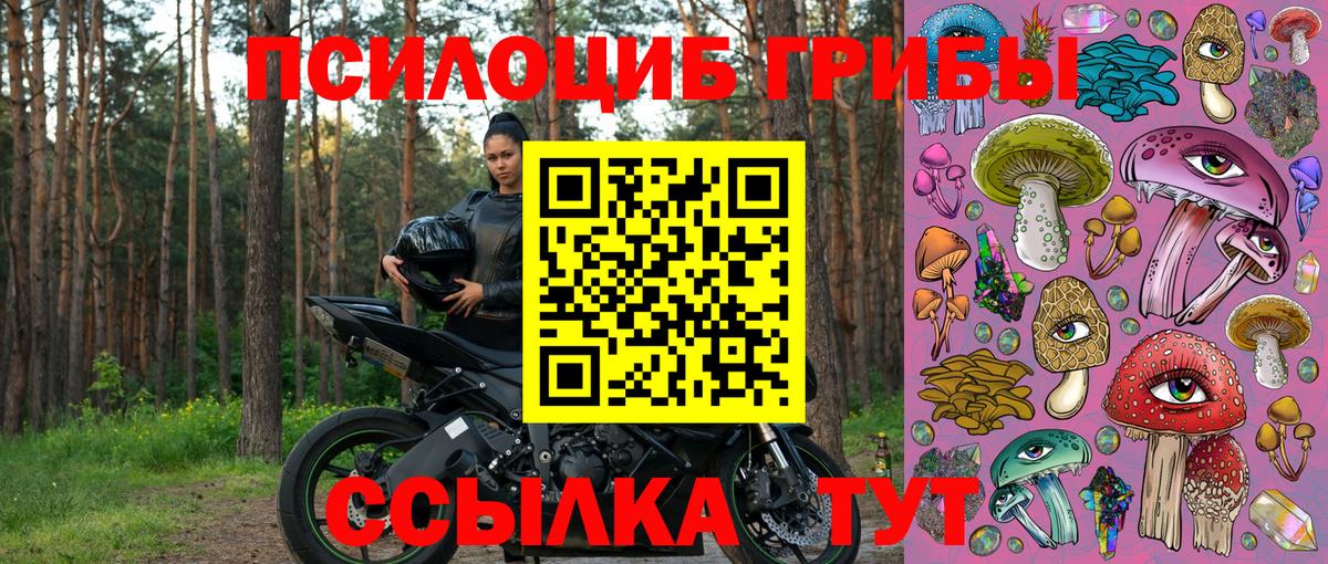 Галлюциногенные грибы GOLDEN TEACHER  Вход с VPN  Шумерля 
