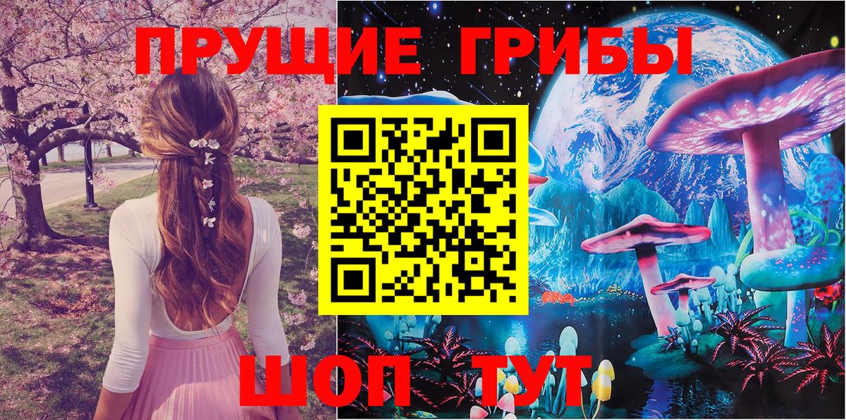 Галлюциногенные грибы Psilocybine cubensis  купить  сайты  Галлюциногенные грибы мицелий  Шумерля 